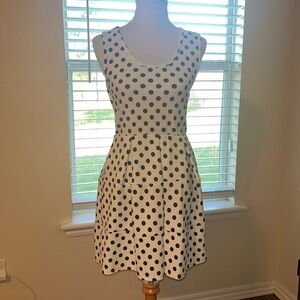 Polka Dot Fit and Flare Dress
